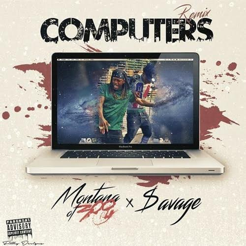 montana300-computers